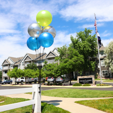 Load image into Gallery viewer, Reusable 5-Balloon Cluster Pole Kit with Pole Brackets & Screws