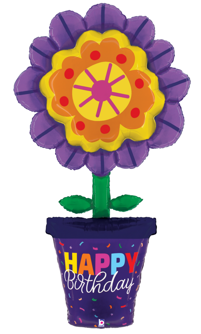 25286 Special Delivery Bold Bloom