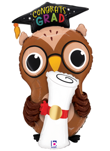 25346 Grad Owl Diploma