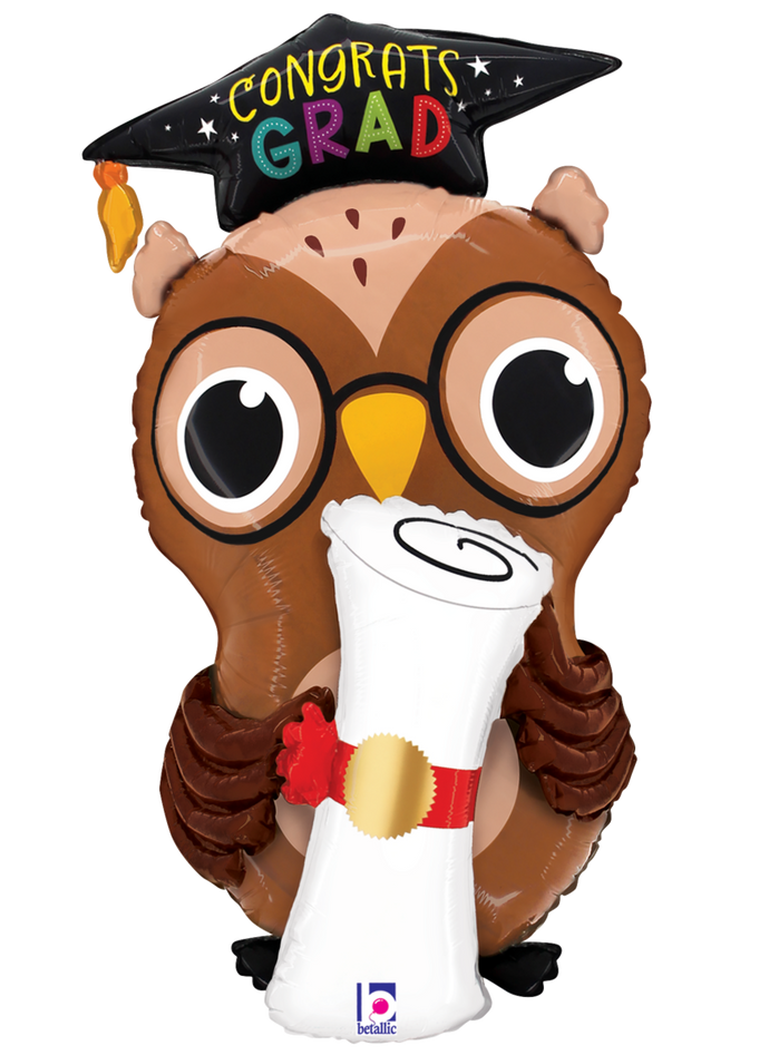 25346 Grad Owl Diploma
