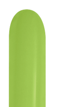 Load image into Gallery viewer, 491813 Fashion Lime Green 360S (50ct)
