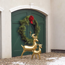 Load image into Gallery viewer, FB245 Reindeer
