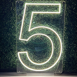 Number 5 Neon Sign Rental