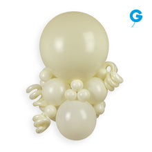 Load image into Gallery viewer, 115901 Gemar Ivory 11-12" Round (50ct)

