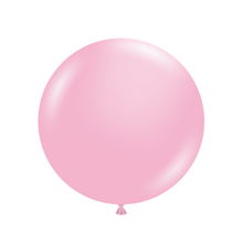 Load image into Gallery viewer, 10022 Tuftex Baby Pink 11" Round (50ct)
