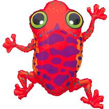 06197 Red Frog