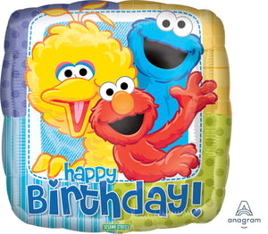 17852 Sesame Street Birthday