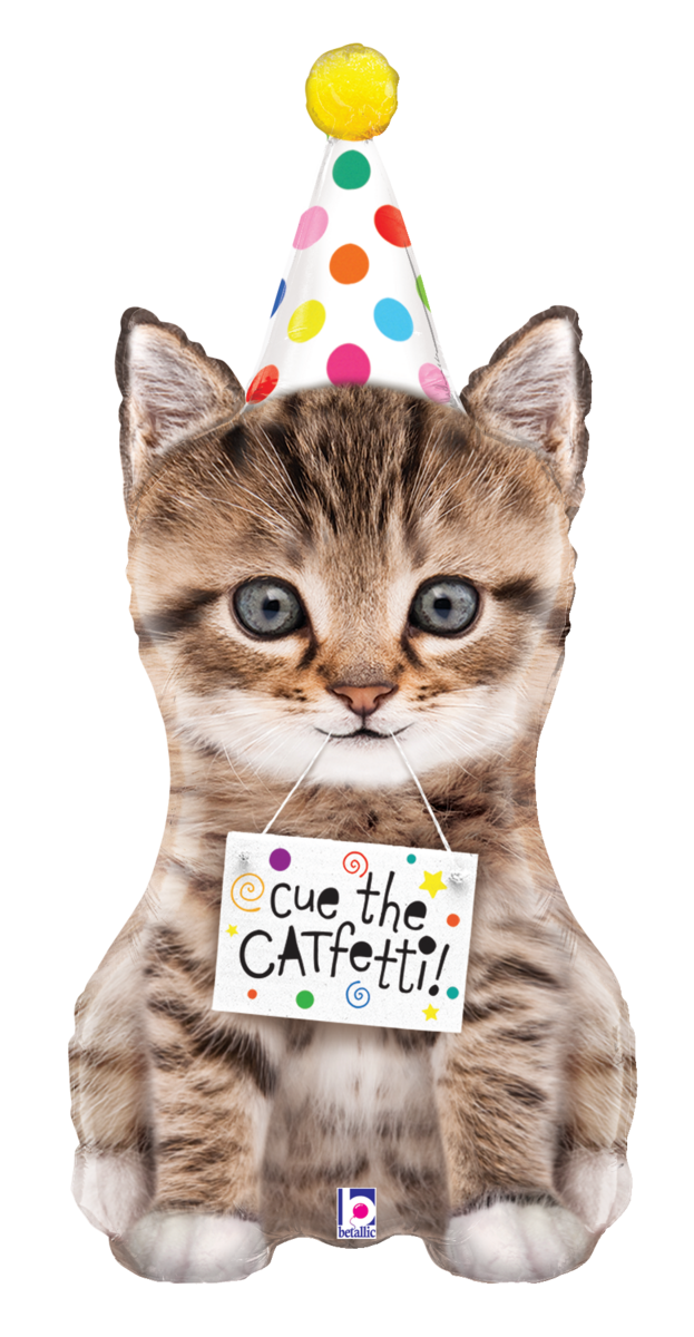 25122 Cue The Catfetti