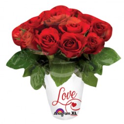 27634 Love Roses