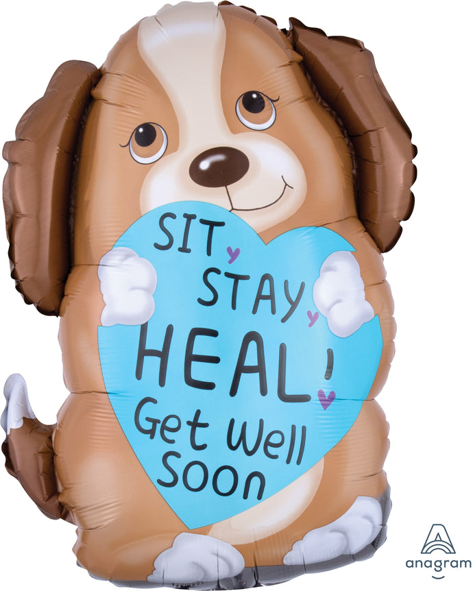 33709 Sit Stay Heal Puppy