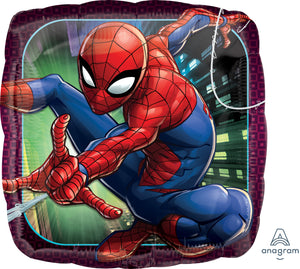 34663 Spider-Man Animated