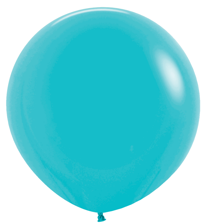 59031 Deluxe Turquoise 24
