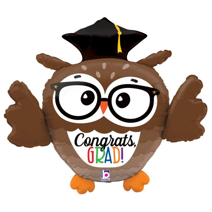 25106 Dimensional Grad Owl