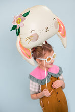 Load image into Gallery viewer, FB123 Rabbit
